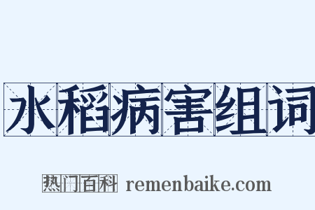 水稻病害组词是什么意思的图片